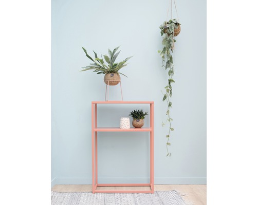 Rum med hylla, krukväxter och hängande växt