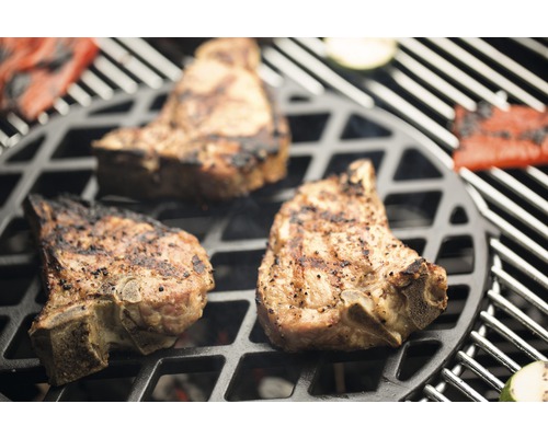 Kött och grönsaker på en grill