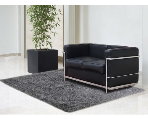 Rumsöversikt med grå matta, växt i svart kruka och lädersoffa