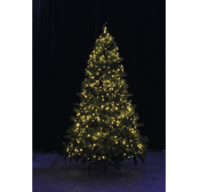 Ljusslinga LAFIORA 80 varmvita LED belysningslängd 1185cm sladdfärg grön inkl. timer dimbar IP44-thumb-2 Ljusslinga LAFIORA 80 varmvita LED belysningslängd 1185cm sladdfärg grön inkl. timer dimbar IP44-thumb-2