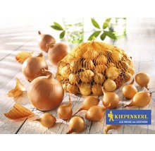 Lökar och lökfrön i ett nät med Kiepenkerl-logotyp