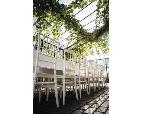 Festligt dukat bord med vita stolar i en vinterträdgård.