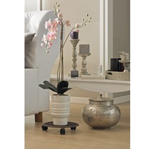 Dekorativ inredning med växt, blomkruka, ljus och soffa