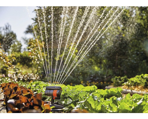 Trädgårdsbevattning med sektorspridare över grönsaksplantor