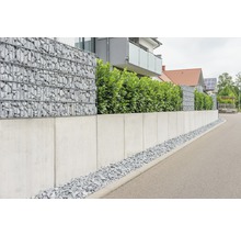 Gabionmur med stenar och betongmur som fastighetsgräns.
