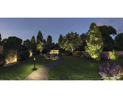 Upplyst trädgård med träd, buskar, blommor och stengång på natten.