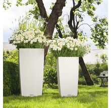 Två höga planteringskärl med flätstruktur och plantering i trädgården.