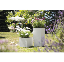 Två fyrkantiga plastblomlådor med växter i trädgården