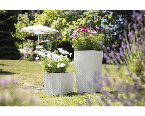 Två fyrkantiga plastblomlådor med växter i trädgården