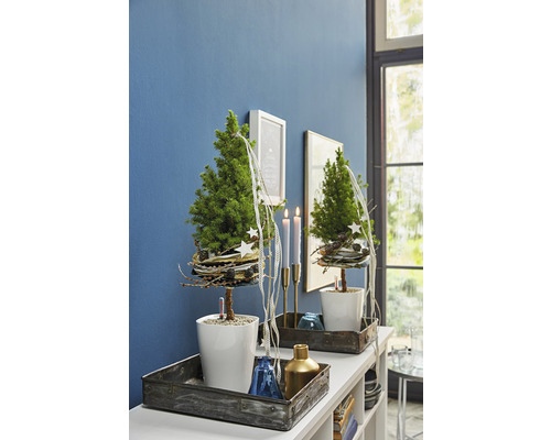 Dekorativt bord med två små julgranar i vita krukor, kompletterat med ljus och andra dekorationer i en mysig rumsmiljö.