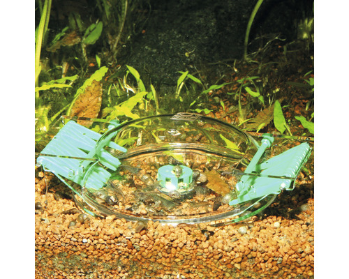 Akvarium med utfodringsklocka och räkor