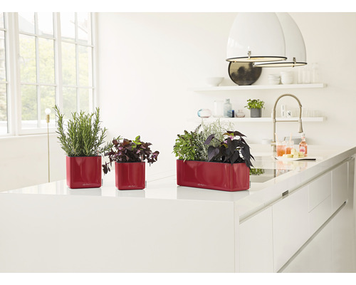 Tre röda planteringskärl med olika örter på en vit köksbänk.