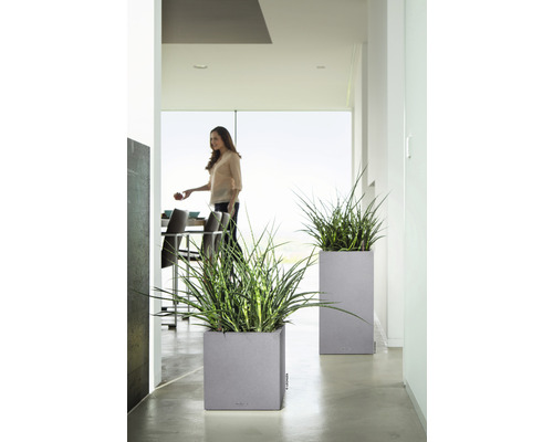 Två grå planteringskärl med gröna växter i ett ljust rum