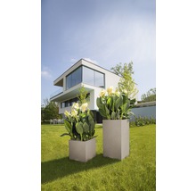 Två blomlådor i olika storlekar med växter i trädgården framför ett modernt hus.