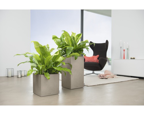 Två fyrkantiga blomkrukor med växter i ett ljust vardagsrum.