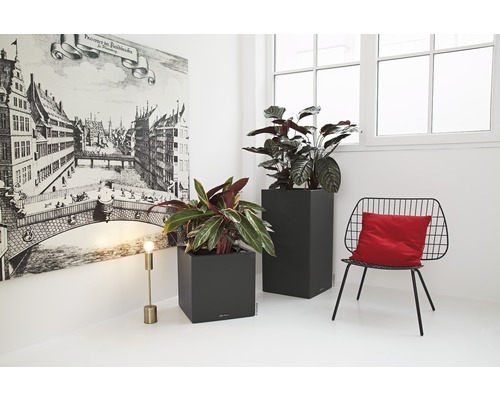 Två grå planteringskärl med växter i ett ljust rum