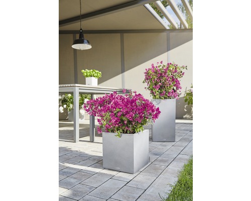 Trädgårdsscen med blomlådor och bordsservis på en stenlagd yta