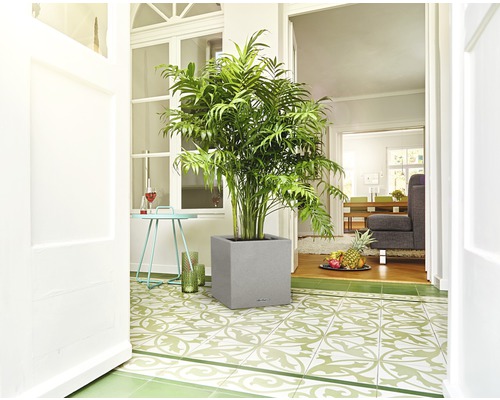 Inredningsscen med krukväxt i en grå blomkruka