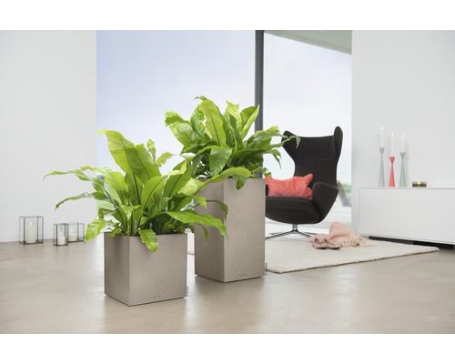 Vardagsrum med två fyrkantiga blomkrukor och krukväxter