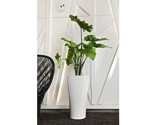 Interiörbild med krukväxt i vit blomkruka