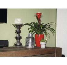 Dekorativa element på en träbyrå: ljusstake, bromelia i kruka och en liten vas