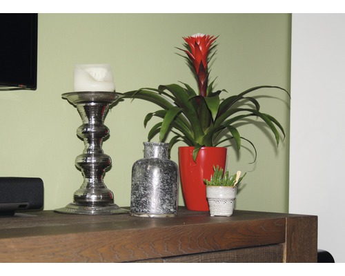 Dekorativa element på en träbyrå: ljusstake, bromelia i kruka och en liten vas