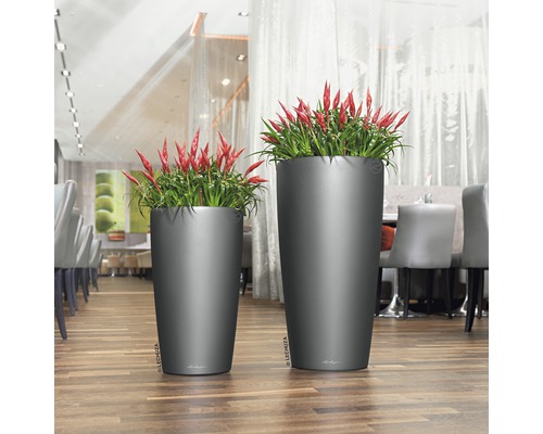 Två höga växtlådor med växter på ett trägolv.