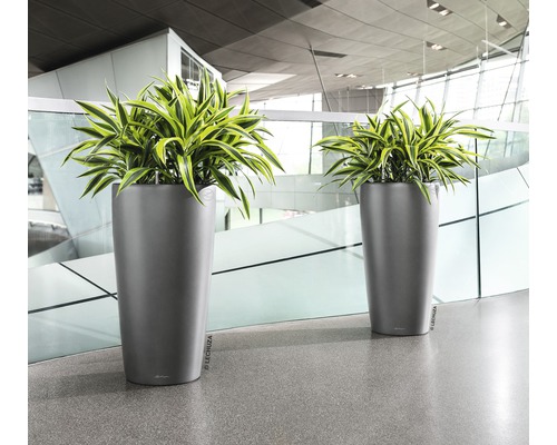 Två höga planteringskärl med växter inomhus.
