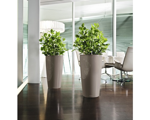 Två höga planteringar med gröna växter i ett ljust rum