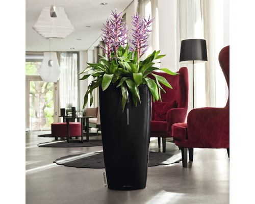 Hög, smal planteringslåda med grön växt och lila blommor i ett vardagsrum