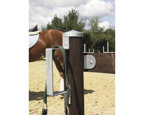 Närbild av trästolpe med fäste och hästutrustning