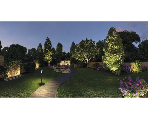 Upplyst trädgård med gång, träd, buskar och blommor