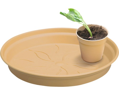 Blomfat av plast med krukväxt