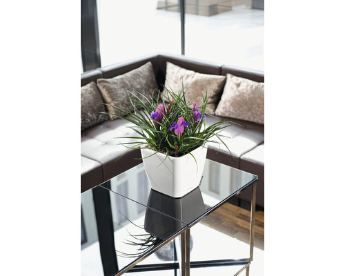 Dekorativt arrangemang med lila irisar i en vit blomkruka på ett sidobord