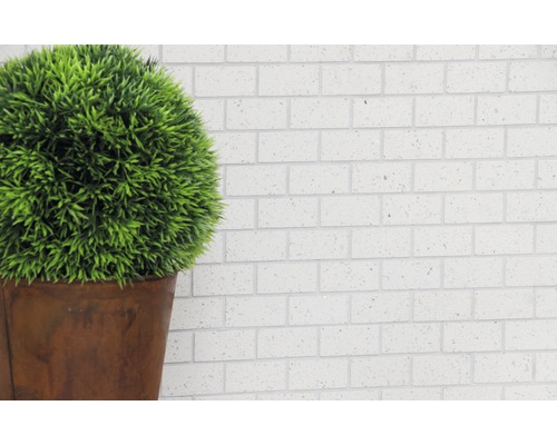 Dekorativ grön boll i en kruka framför en tegelvägg