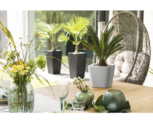 Bordsdekoration med växter i krukor och blomvaser i ett ljust rum.