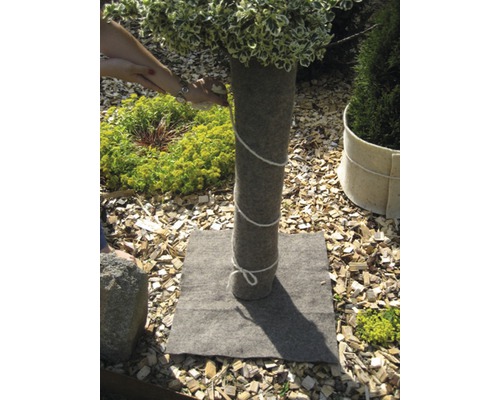 Stam- och rotskydd för växter med rep på en träyta