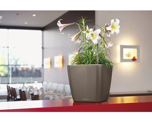 Fyrkantig blomkruka med liljor på ett rött bord