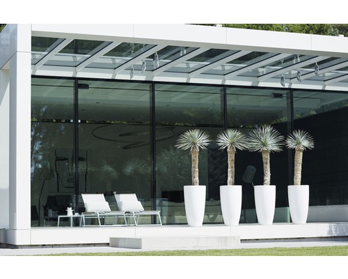 Modern utomhusscen med växter i planteringskärl, stolar och bord