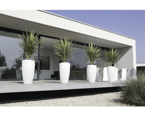 Rad med växter i blomkrukor framför en modern byggnad