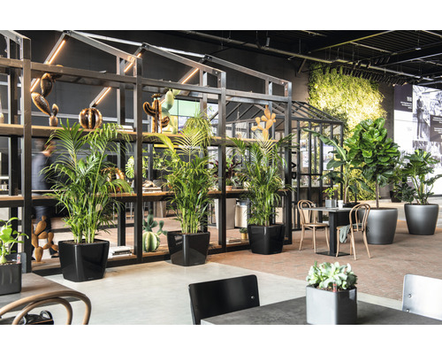 Interiör med växter i krukor, hylla och sittgrupp