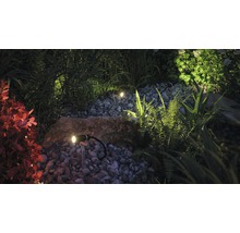 Trädgårdsspot PAULMANN Plantini LED Plug & Shine 2,5W 90lm 3000K varmvit HxØ 223x21mm IP65 230/24V antracit-thumb-2
