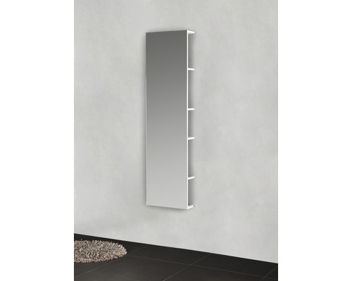 Rektangulärt spegelskåp med sidohyllor för väggmontering