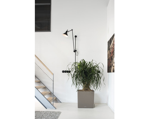 Inomhusmiljö med trappa, krukväxt och vägglampa