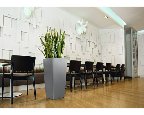 Interiörbild av ett rum med matbord, stolar och en hög, grå blomlåda med en grön växt