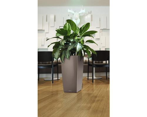 Hög planteringslåda av plast med växt framför en dekorerad vägg