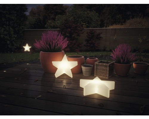 Trädgårdsscen med upplysta stjärnor, blomkrukor och växter.