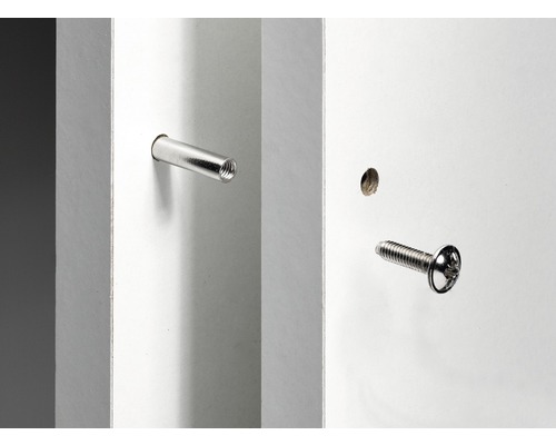 Dowel och skruv i en vit hylla