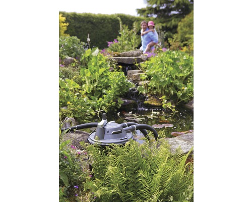 Damfilter i trädgårdsdammen med växter och litet vattenfall