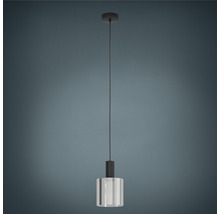 Pendellampa med transparent lampskärm
